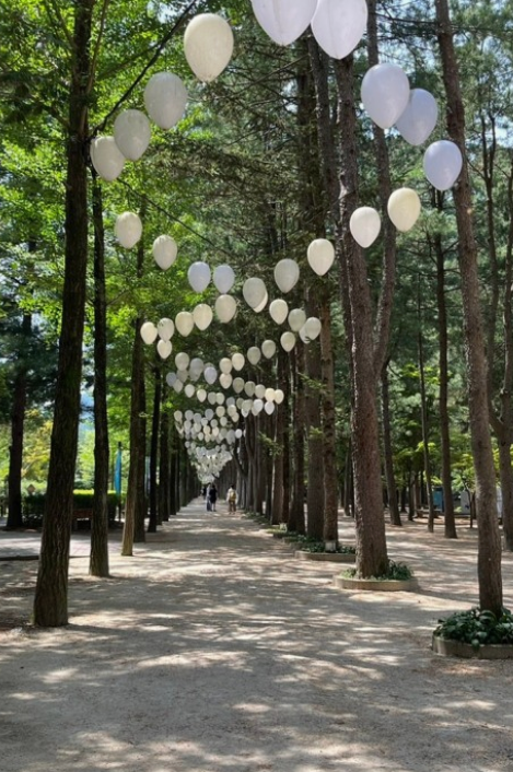 가평 가볼만한곳 BEST 7