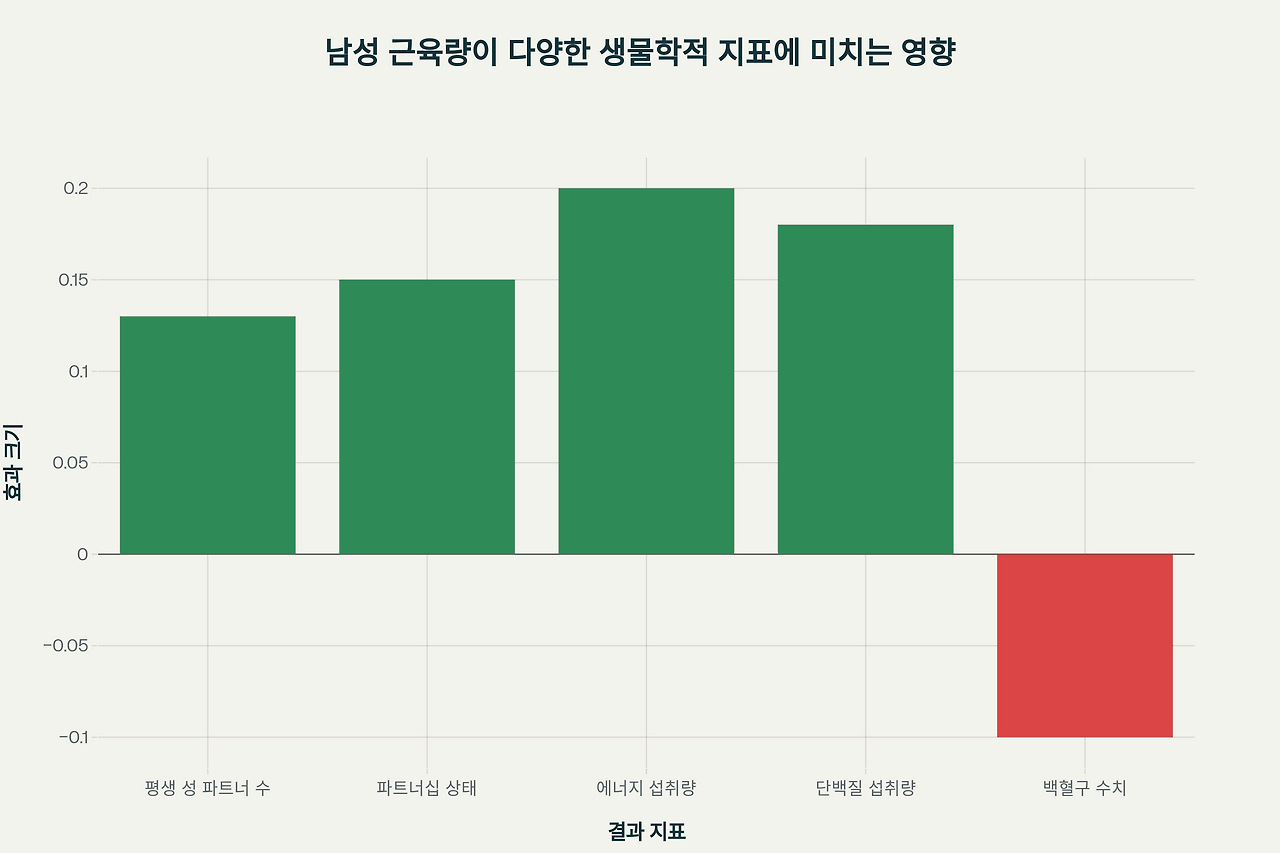 남성의 근육량과 매력도, 그리고 건강