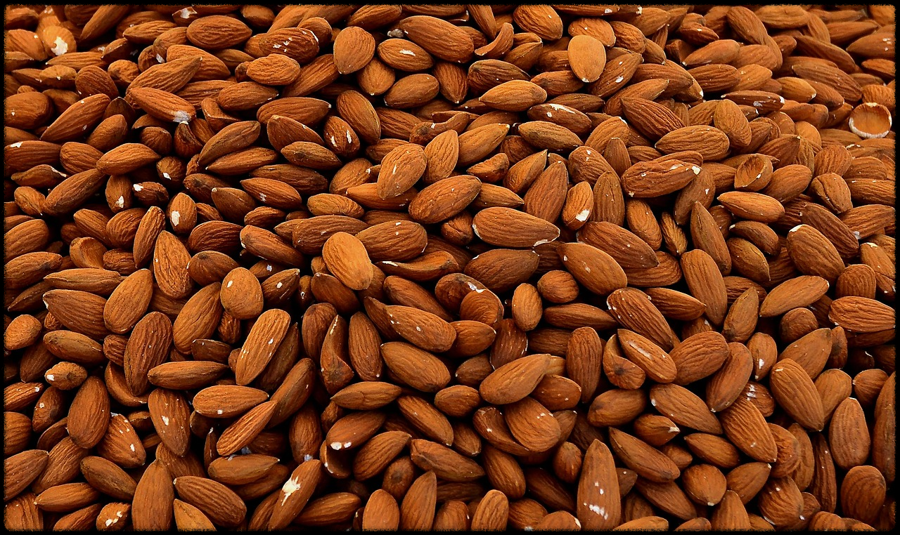 아몬드 효능_그림2