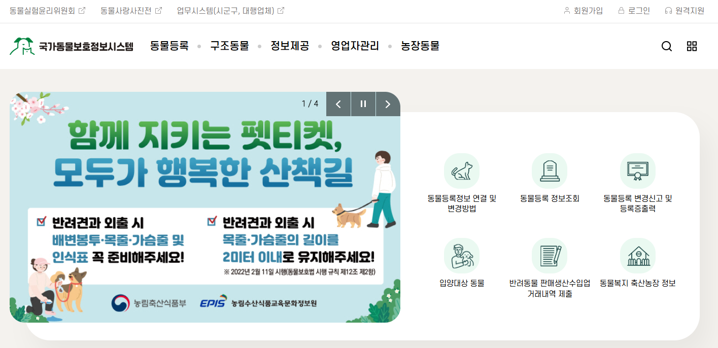 반려견 등록, 자진신고 방법 총정리(2024)