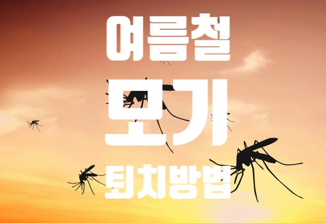 여름철모기 효과적인 퇴치방법