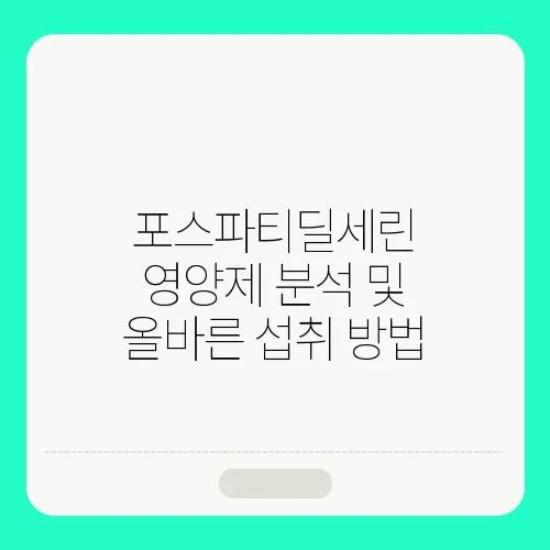 포스파티딜세린 영양제 분석 및 올바른 섭취 방법