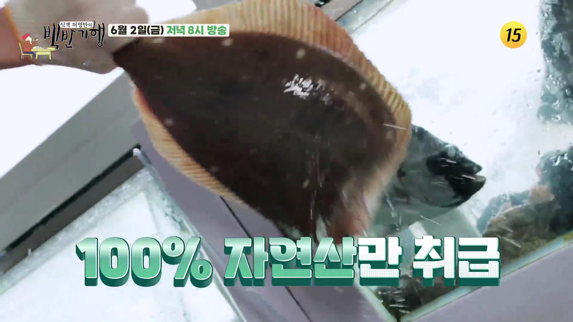 식객 허영만 백반기행 포항 월포 해수욕장 오션뷰 100% 자연산 횟집, 회밥 맛집
