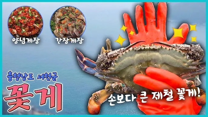 6시 내고향 참게가리장 참게장정식 하동 맛집 정리_1