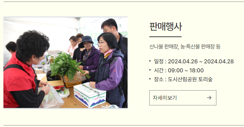 강원 N 홍천 산나물 축제 프로그램