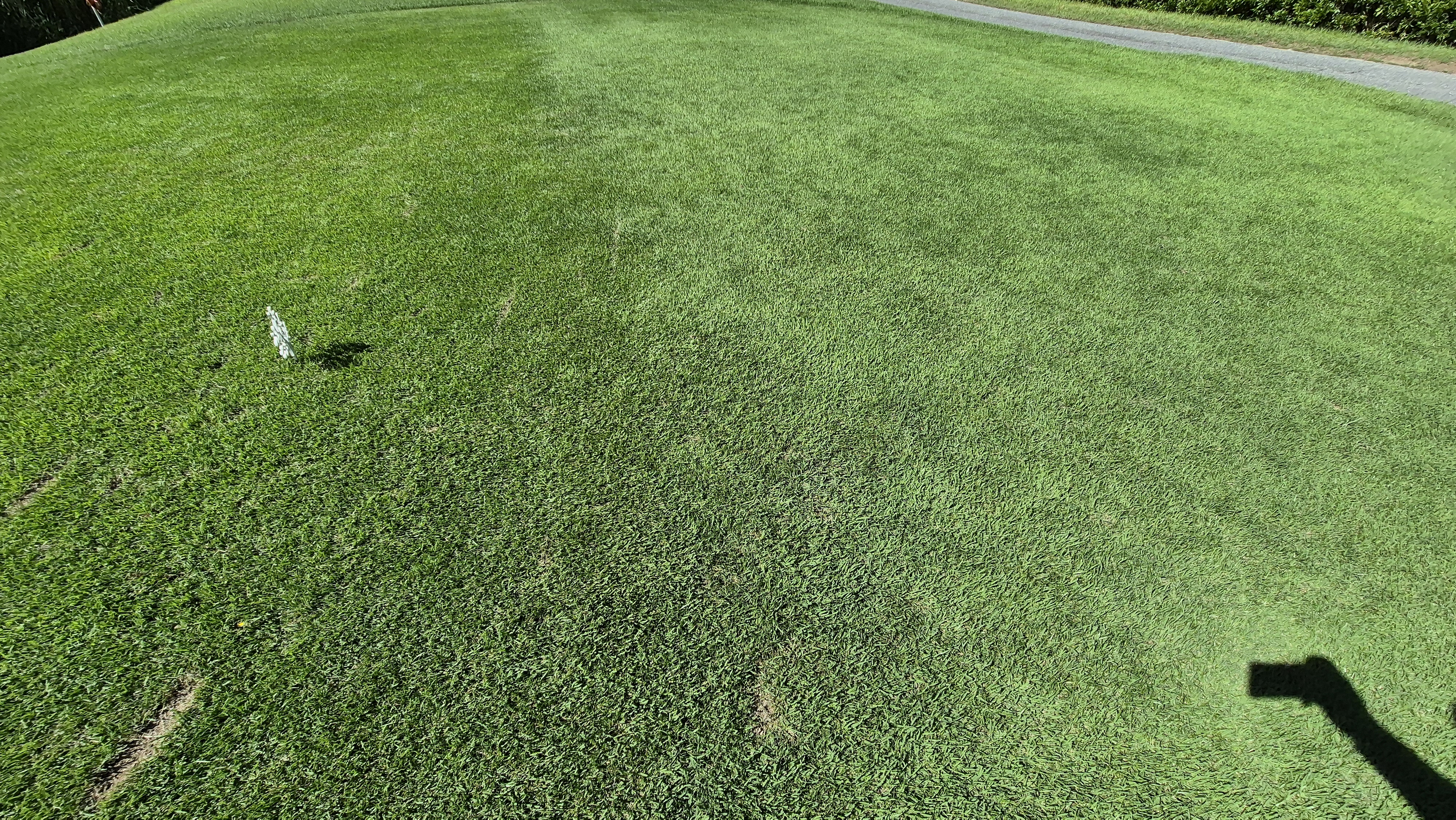 SG 아름다운cc 라운드 후기