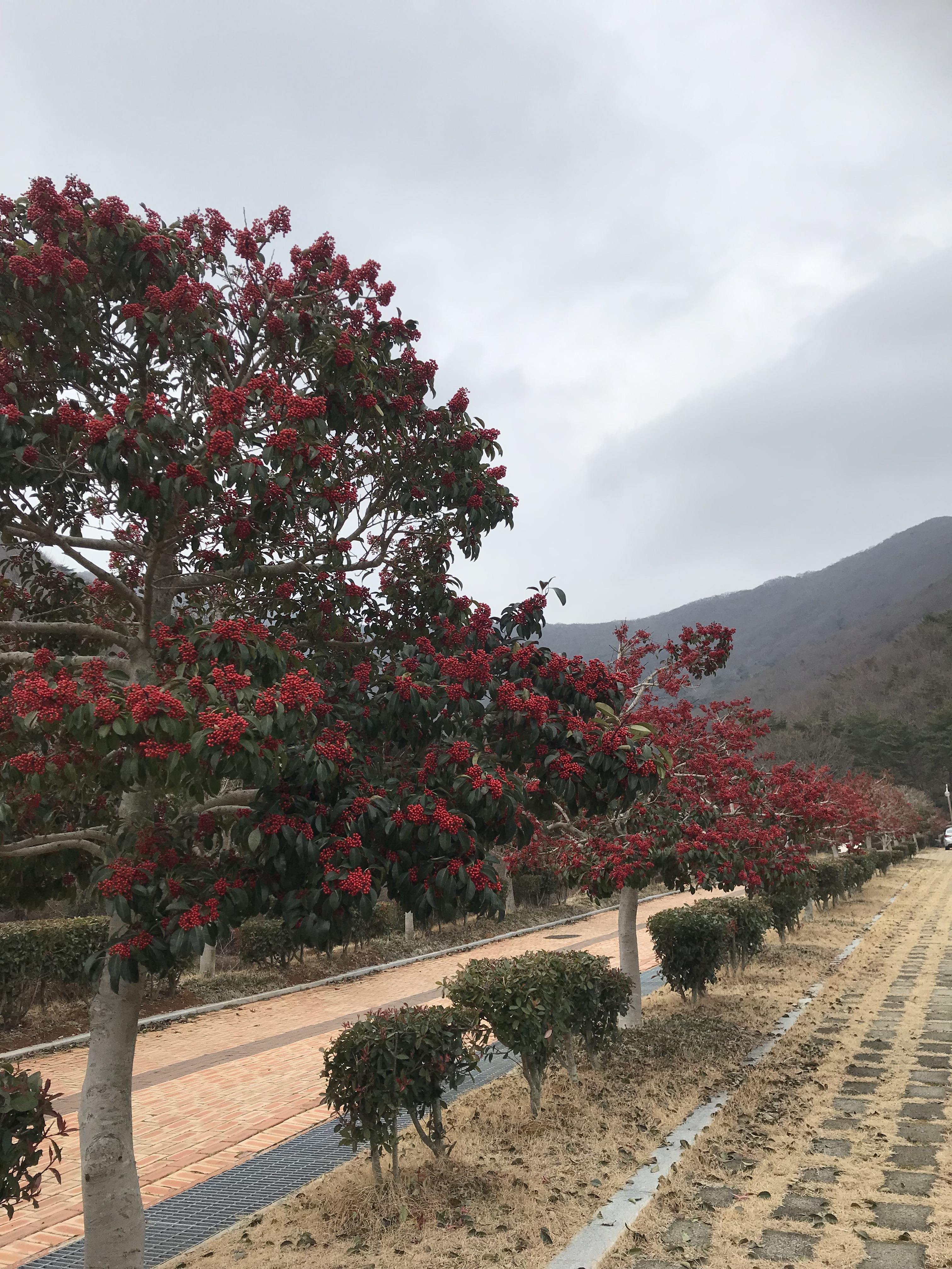 거금생태숲 올라가는 길