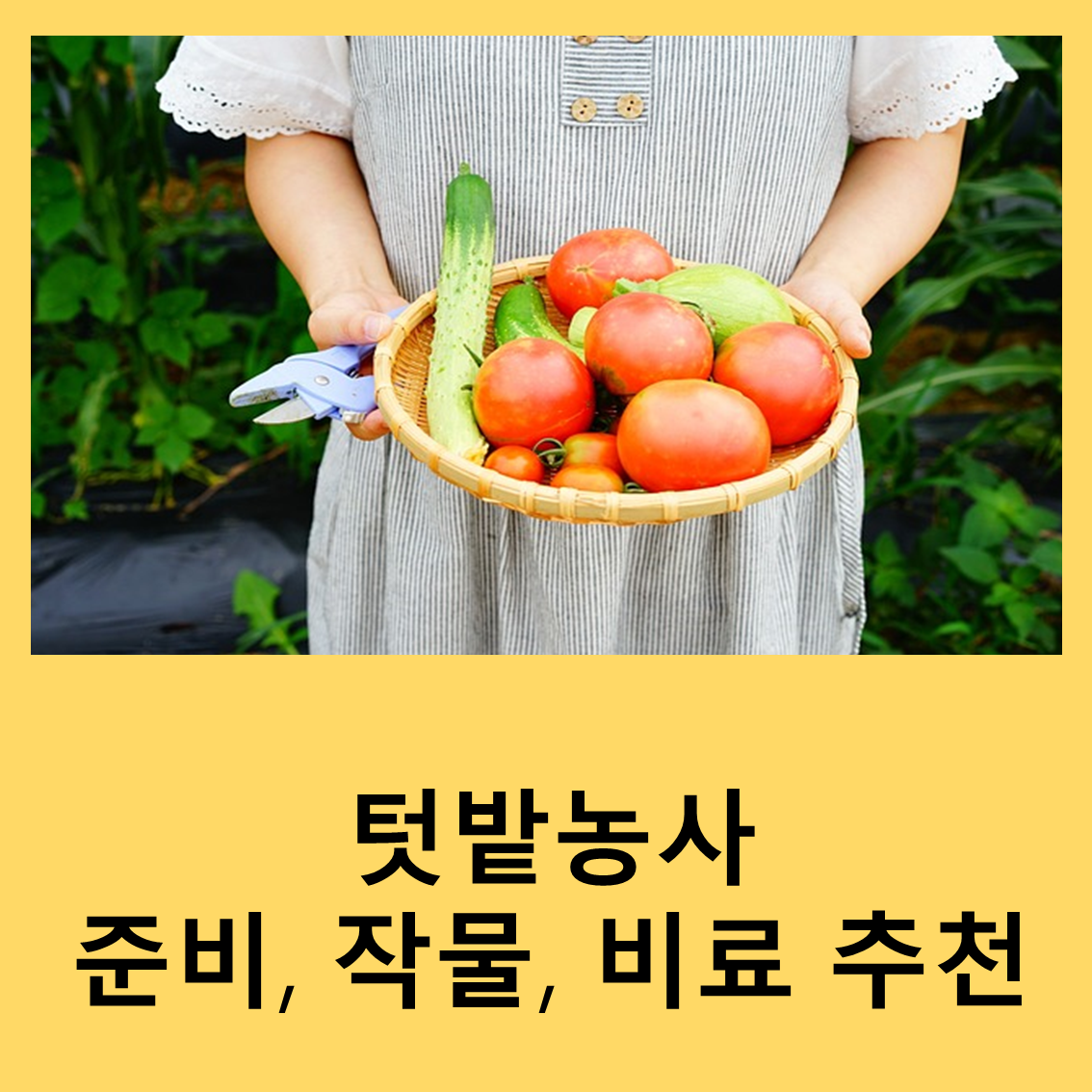텃밭농사