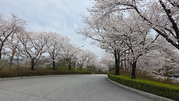 경기도 남여주 컨트리클럽 소개 및 이용방법