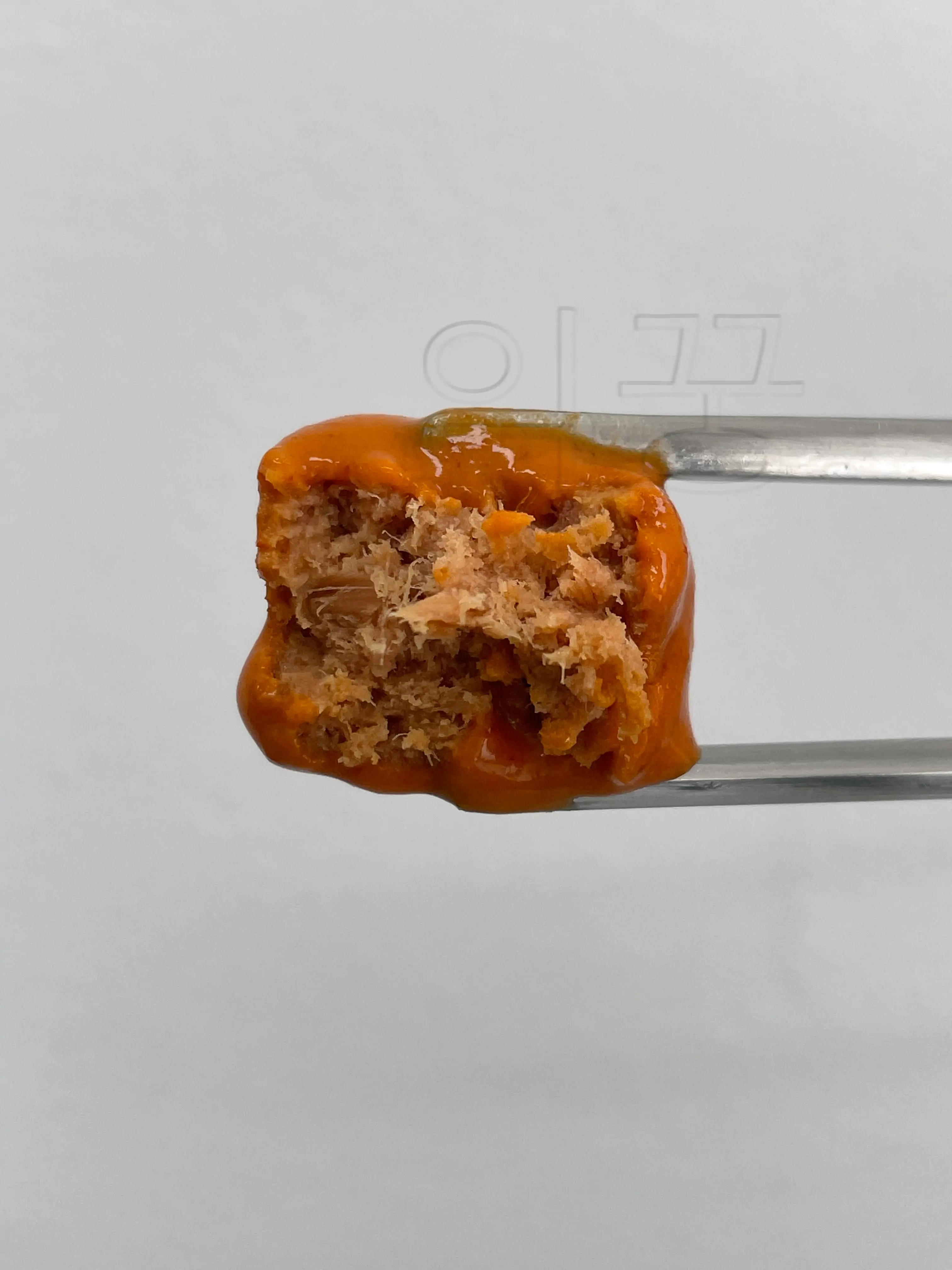 큐브참치 단면