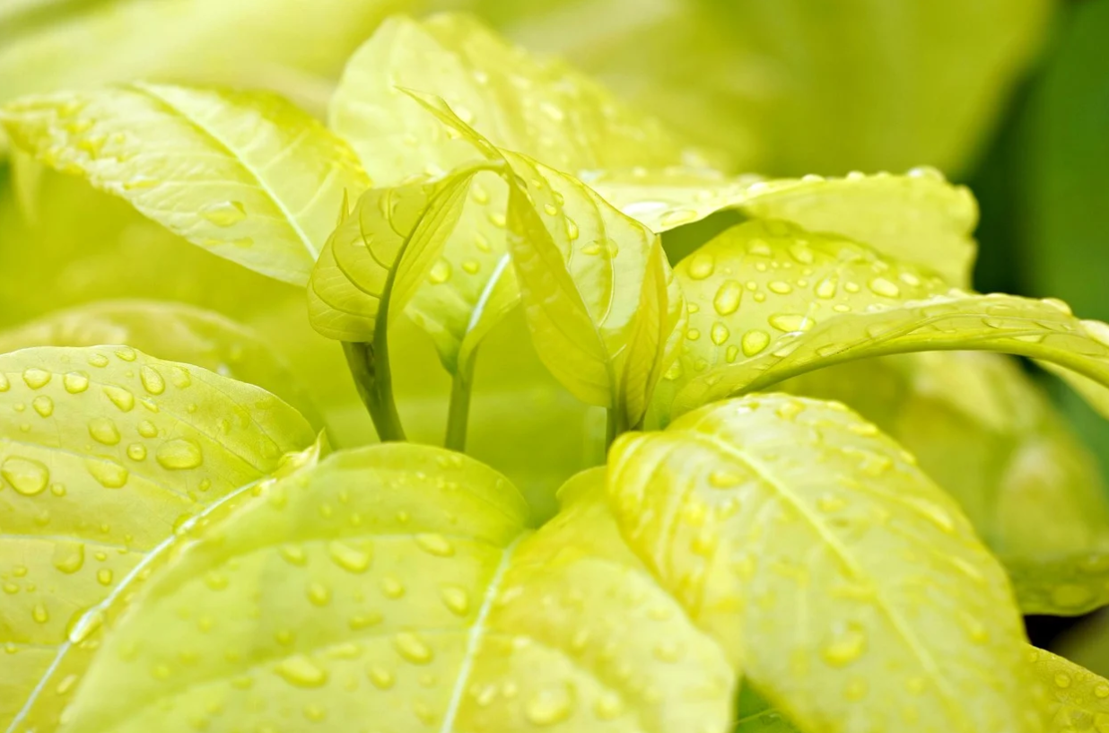 제로웨이스트 생활법 관련 사진