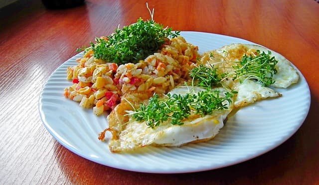 초당옥수수샐러드