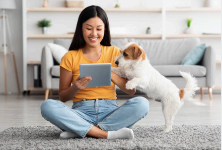 상생페이백 디지털 온누리상품권 사용처 총정리