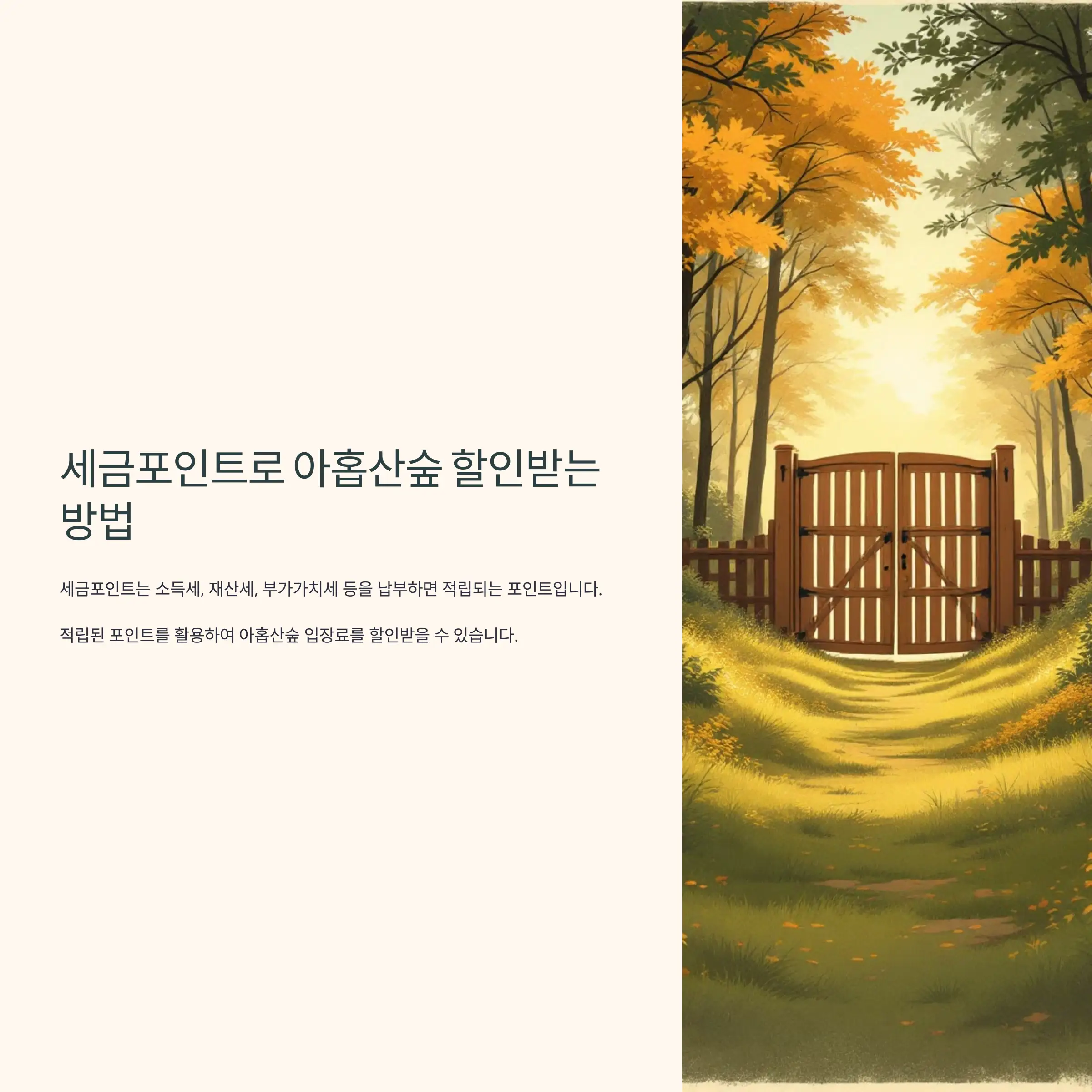 세금포인트로 아홉산숲 할인받는 방법 손택스 앱