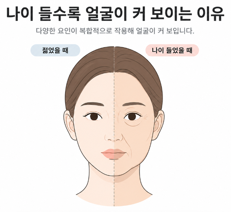 나이 들수록 얼굴이 커지는 이유