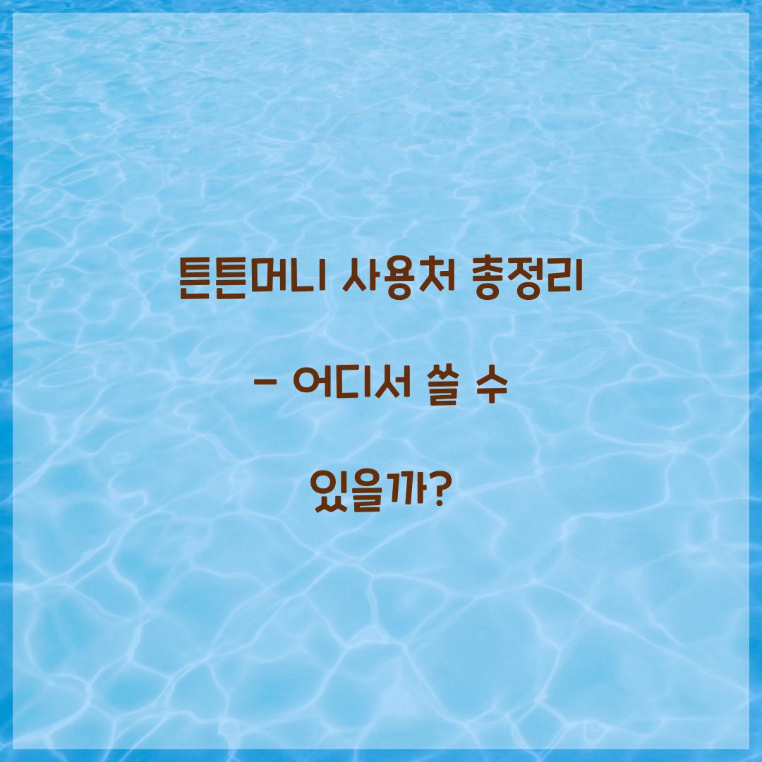 튼튼머니 사용처