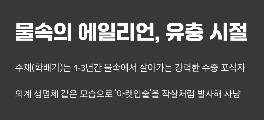 물속의 에일리언, 유충 시절