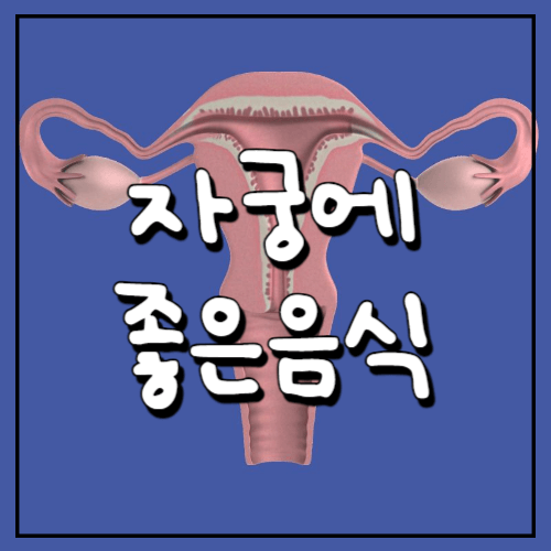 자궁에-좋은-음식-10가지