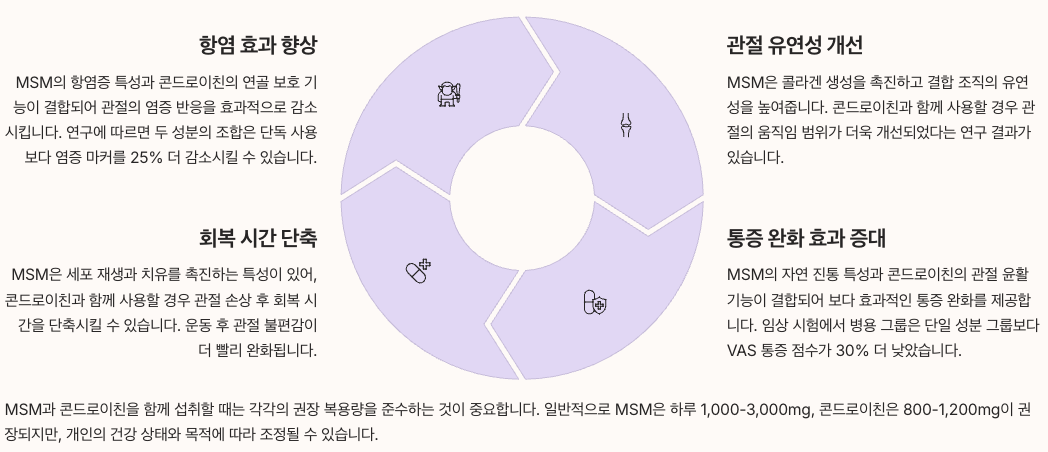 콘드로이친1200 MSM 병용 효과 - 총정리 인포그래픽 이미지