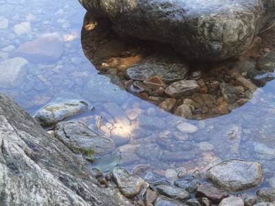 자수의 물상 이미지1