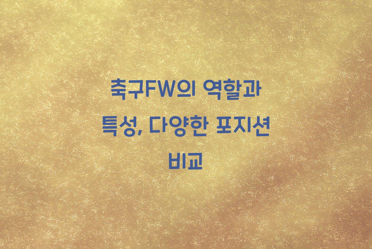 축구FW