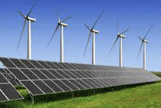 코드네이처 주가 전망