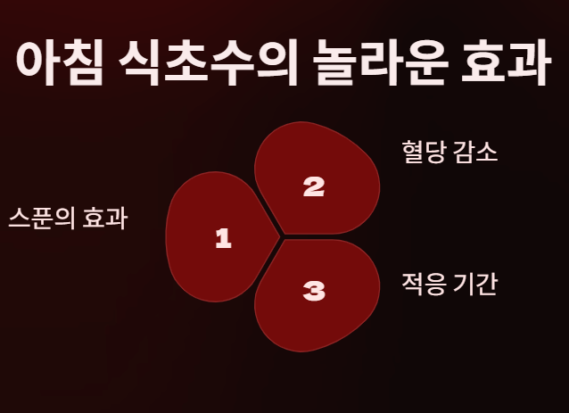 당뇨약 먹어도 혈당이 높다면? 인슐린 저항성? 해결방법