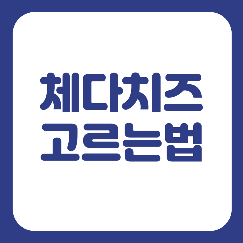 체다치즈 먹는법