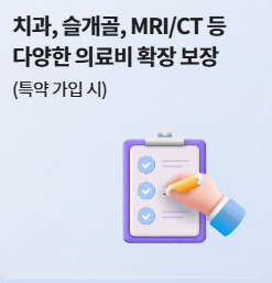 현대해상 펫보험