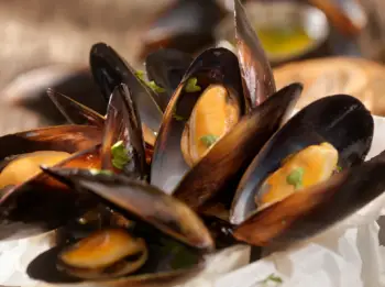 홍합 효능 및 영양성분, 가격