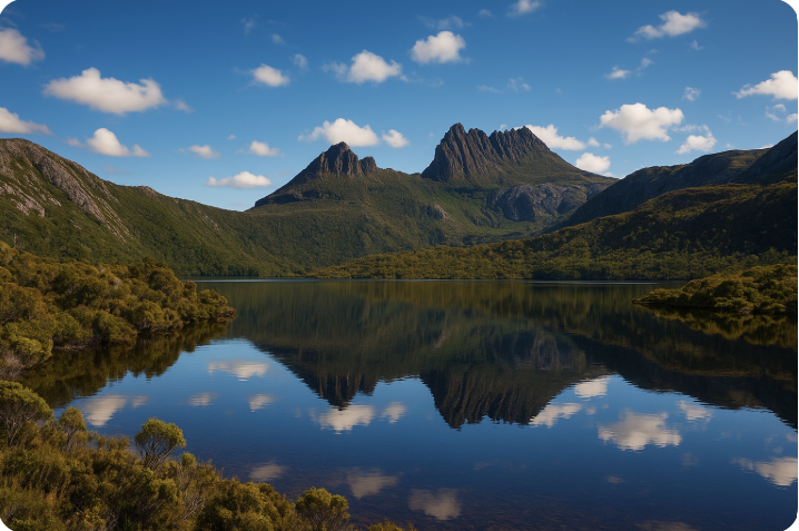 테즈매니아 사진