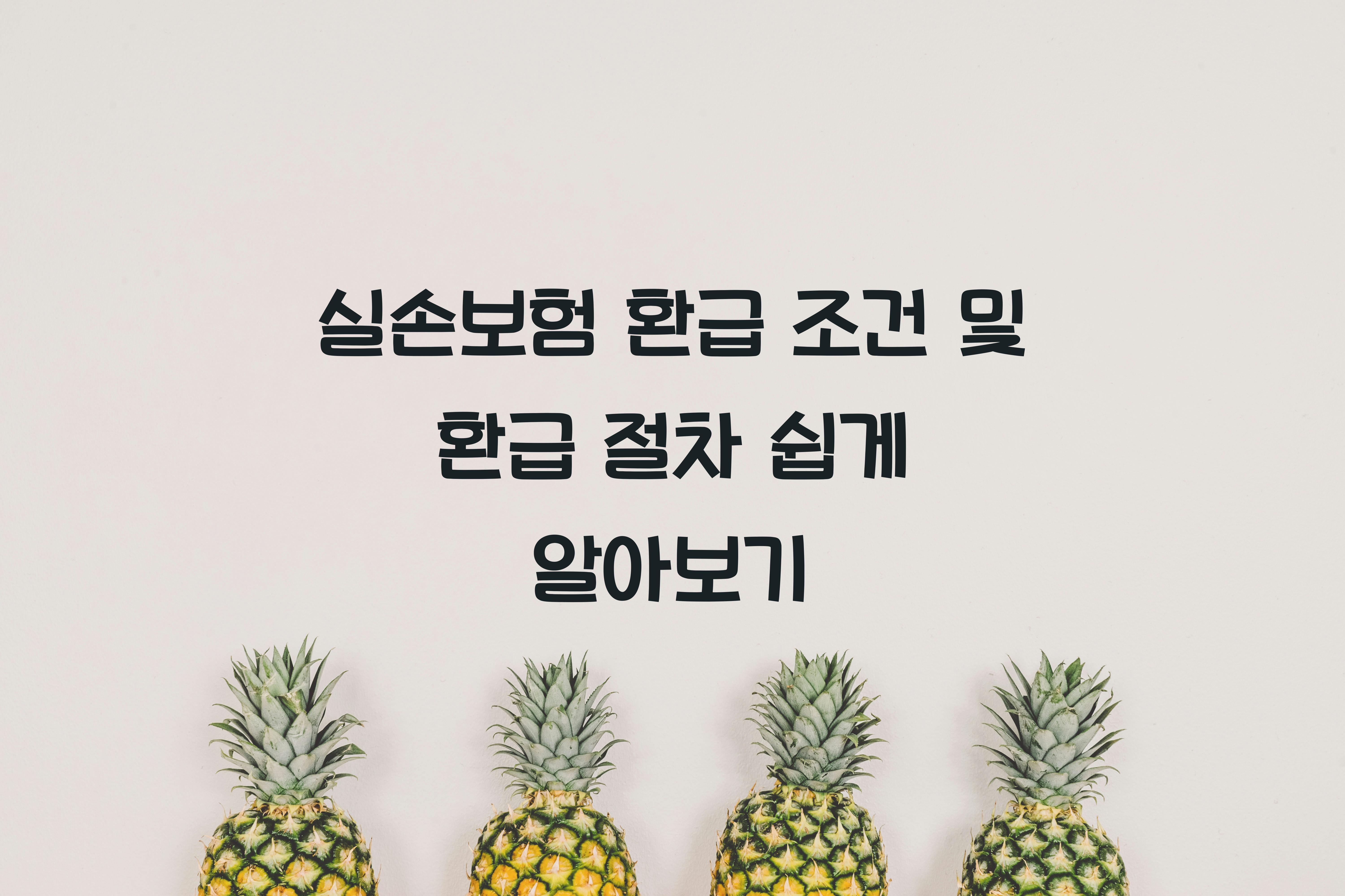 실손보험 환급 조건