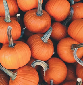 호박 효능과 부작용 고르는법 칼로리