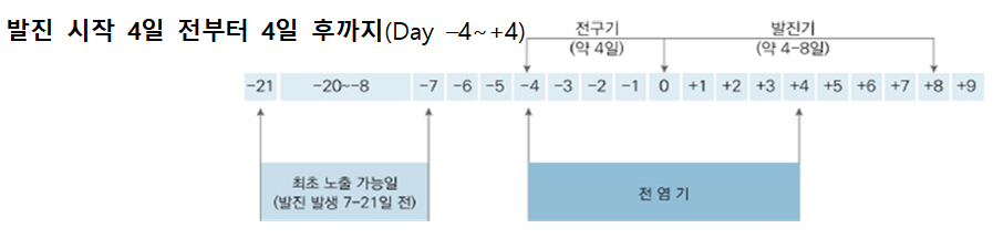 홍역의 진행과정 그림