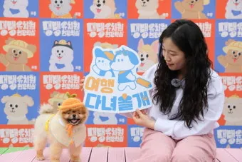 제주 반려견과 함께 가기 좋은 펫프렌들리 숙소 리스트_21