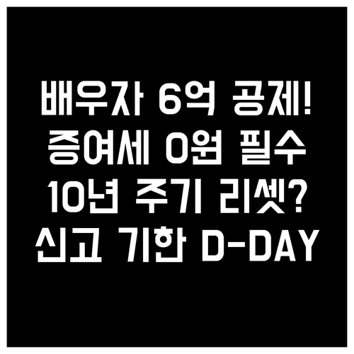 증여세 0원 만드는 배우자 공제 6억..