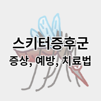 스키터증후군_썸네일