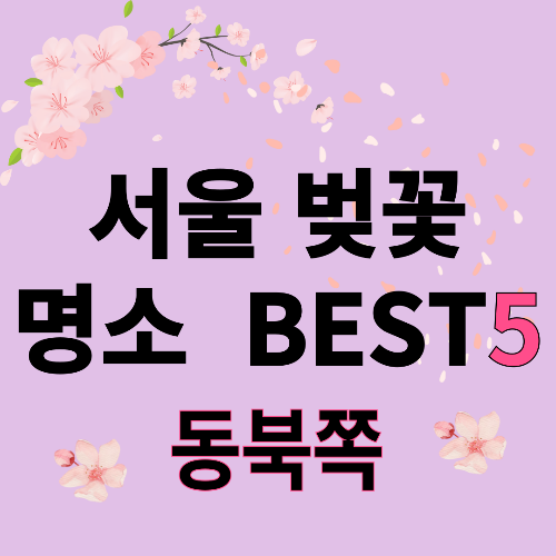 서울 동북쪽 벚꽃 명소 BEST5 🌸 도심부터 강변까지 봄 산책 코스 총정리