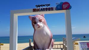 강릉 가볼만한 곳 베스트 10 여행지 추천