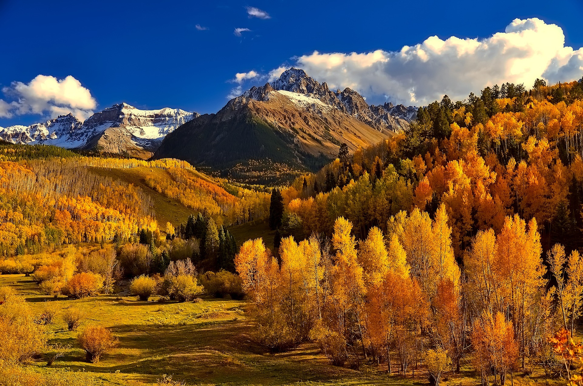 숙박 세일 페스타