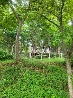 율곡수목원