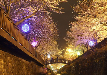 진해 가볼만한곳 베스트10