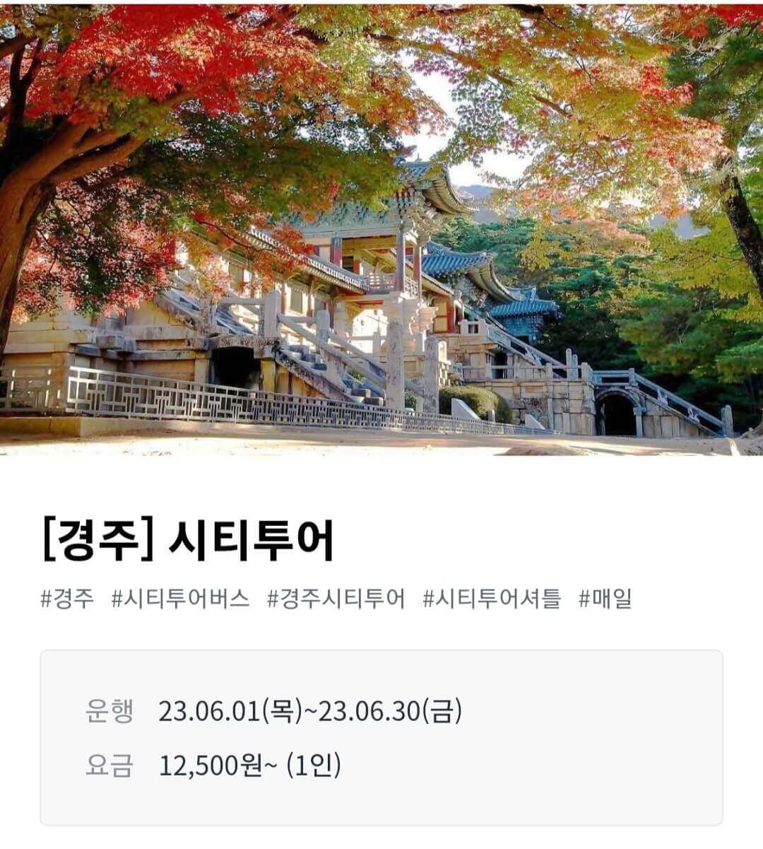 여행가는달 시티투어버스 할인
