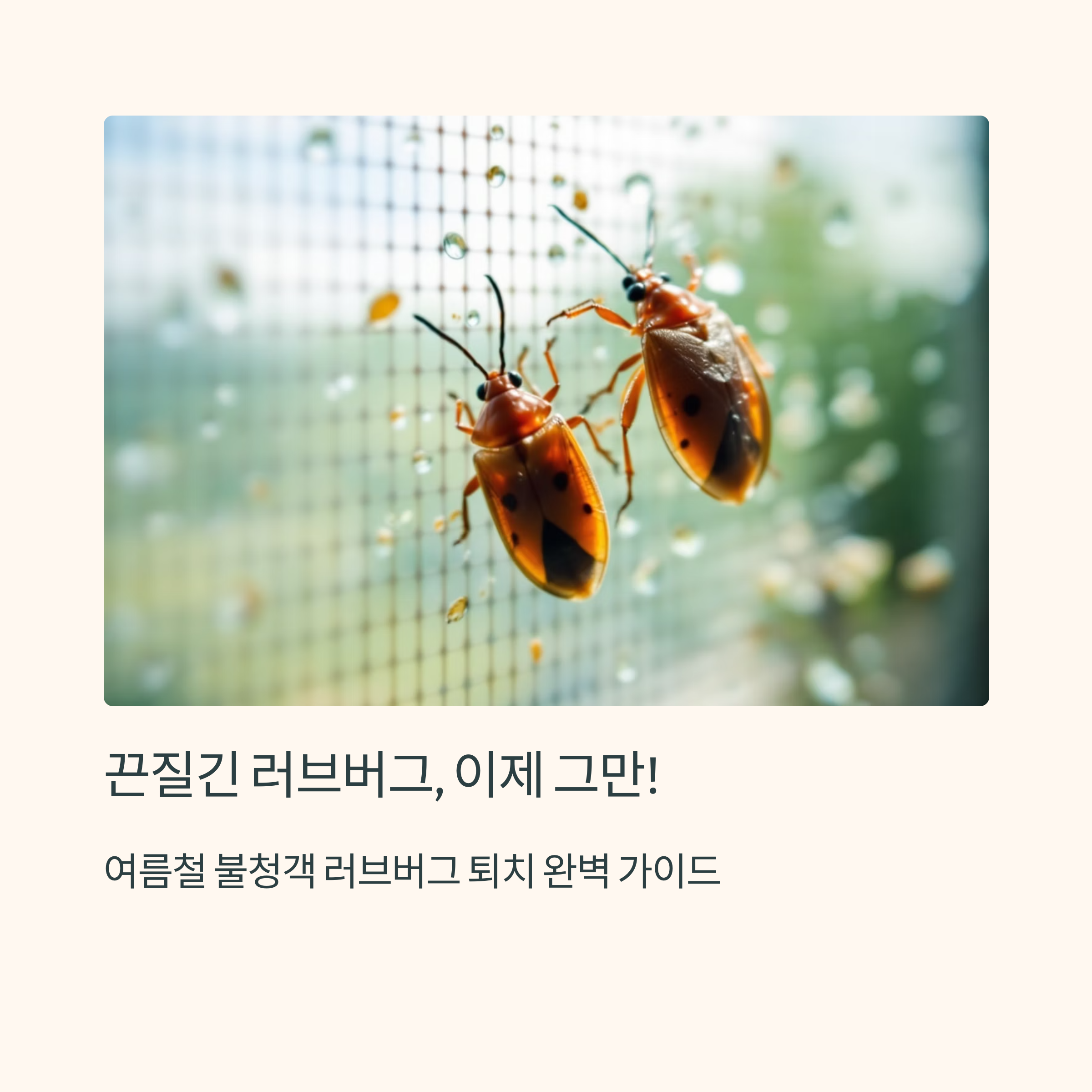 러브버그 완벽 퇴치법