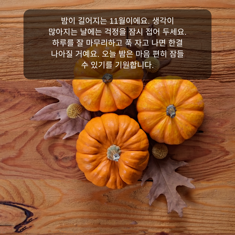 11월 인사말 20 밤이 길어진 11월 편안한 밤 인사말 이미지