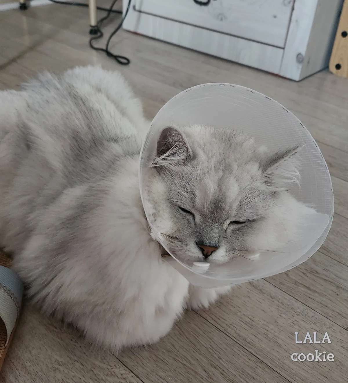 넥카라-수선-후-잘-맞는-사이즈