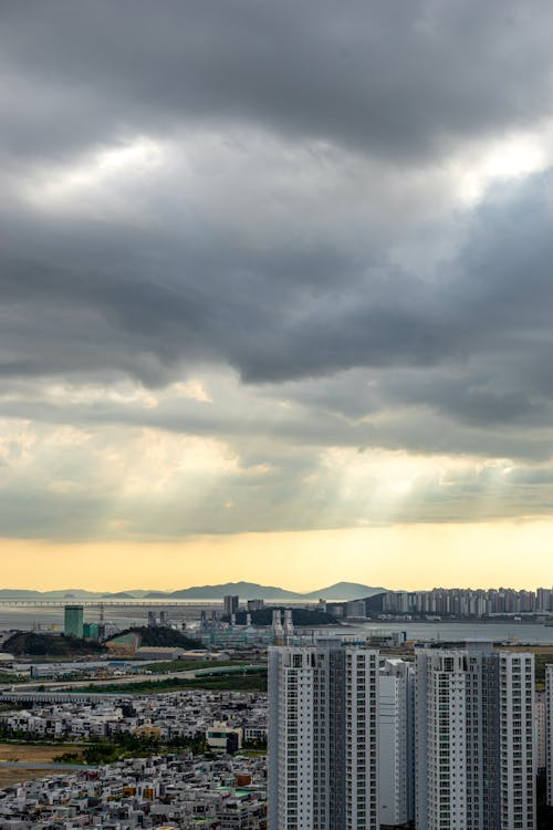 미세먼지 질환 증상 원인 예방까지