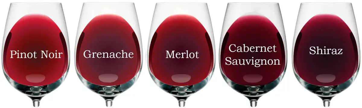 레드와인 5가지 종류의 와인이 담긴 잔