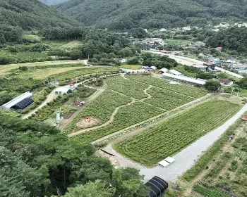 원주 용수골 가을꽃축제_23