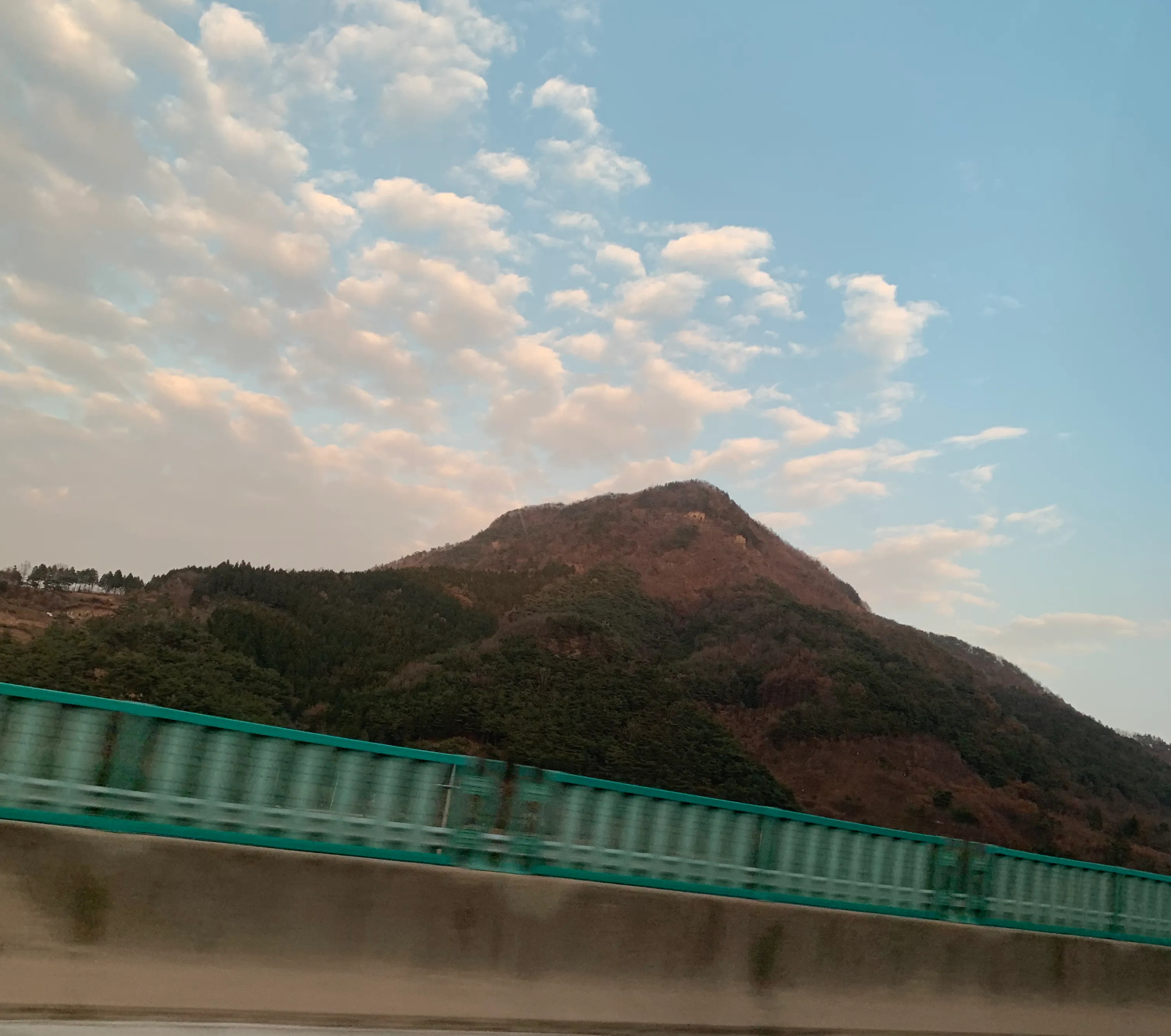 능이버섯-산행-채취-꿀팁-후기